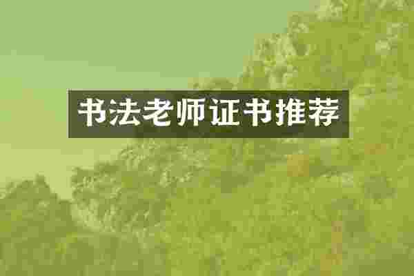 书法老师证书推荐