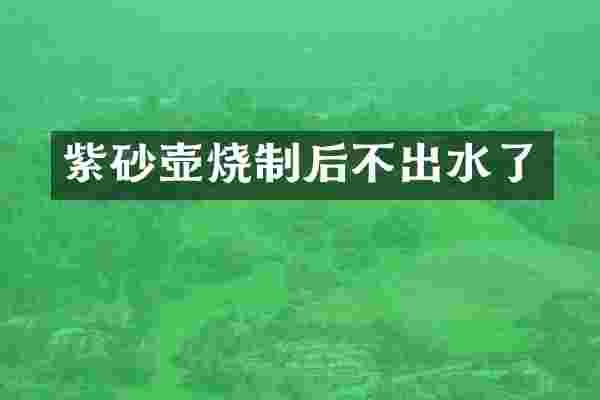 紫砂壶烧制后不出水了