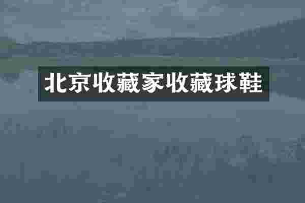 北京收藏家收藏球鞋