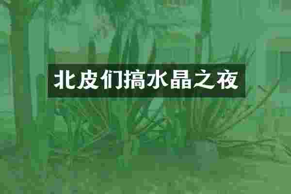 北皮们搞水晶之夜
