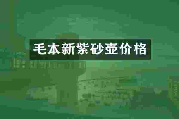 毛本新紫砂壶价格