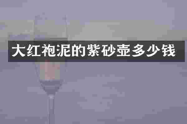 大红袍泥的紫砂壶多少钱
