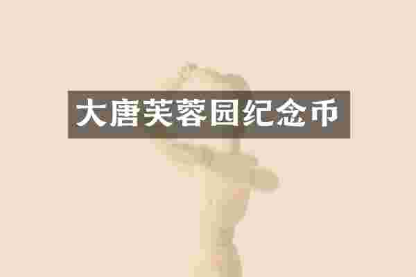 大唐芙蓉园纪念币