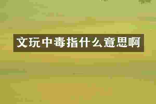 文玩中毒指什么意思啊