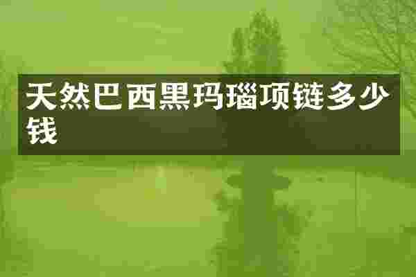 天然巴西黑玛瑙项链多少钱