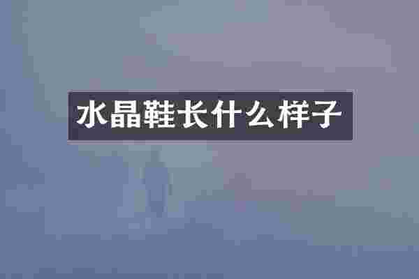 水晶鞋长什么样子