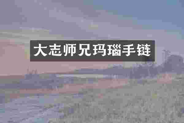 大志师兄玛瑙手链