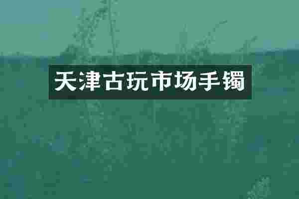 天津古玩市场手镯