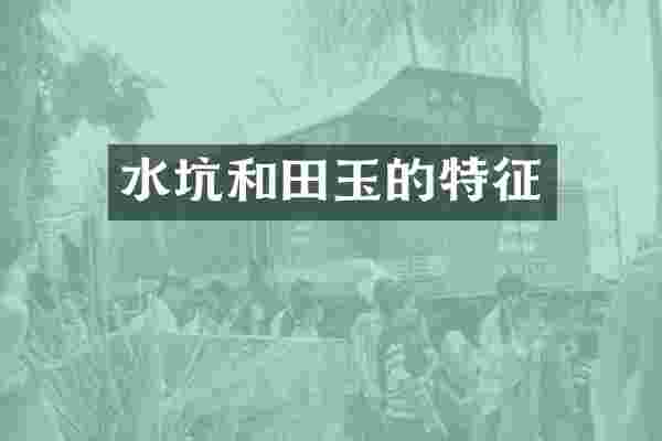 水坑和田玉的特征