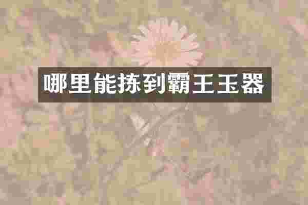 哪里能拣到霸王玉器