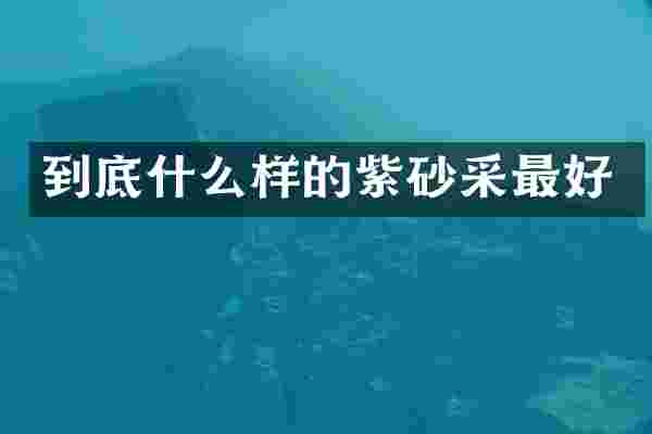 到底什么样的紫砂采最好
