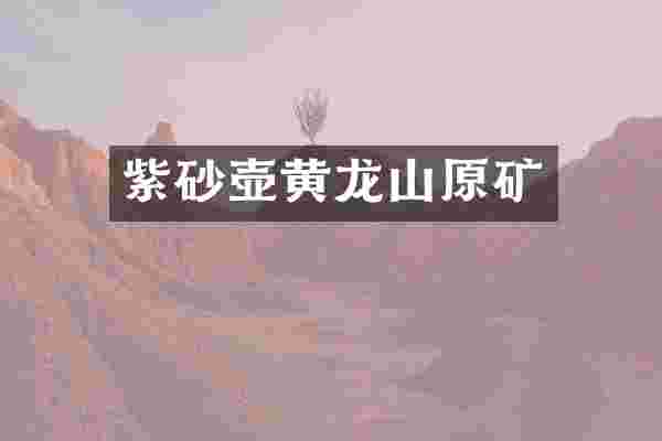 紫砂壶黄龙山原矿