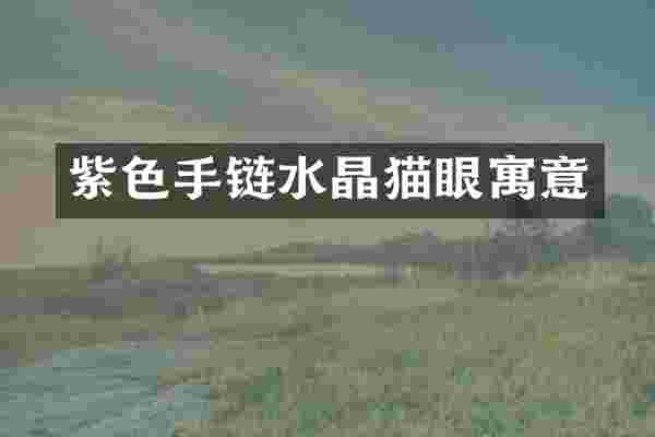 紫色手链水晶猫眼寓意