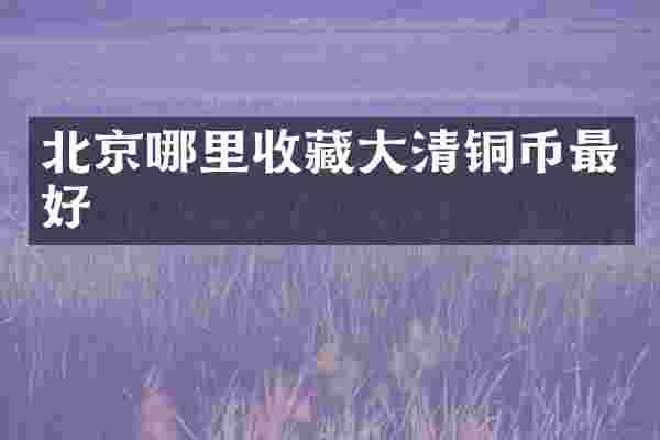 北京哪里收藏大清铜币最好