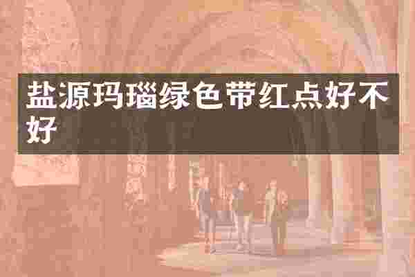 盐源玛瑙绿色带红点好不好