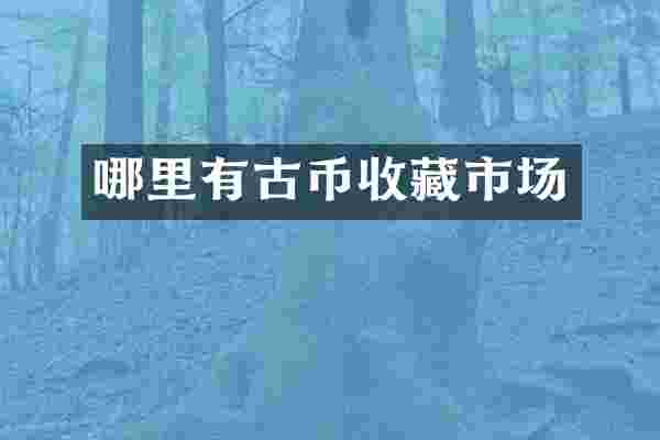 哪里有古币收藏市场