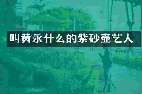 叫黄永什么的紫砂壶艺人