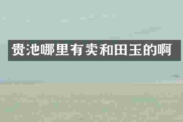 贵池哪里有卖和田玉的啊