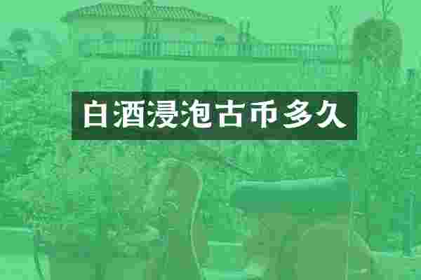 白酒浸泡古币多久