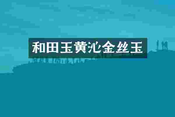 和田玉黄沁金丝玉