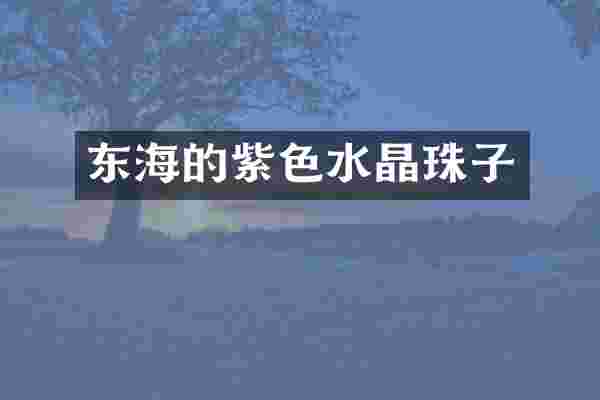 东海的紫色水晶珠子