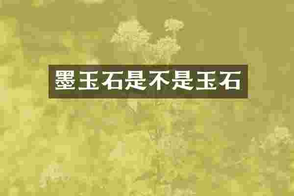 墨玉石是不是玉石