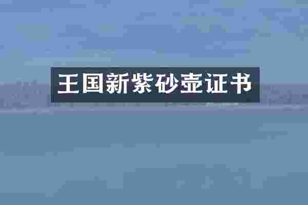 王国新紫砂壶证书