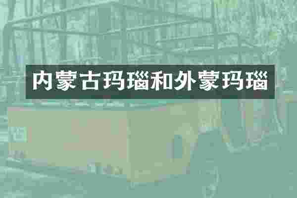 内蒙古玛瑙和外蒙玛瑙