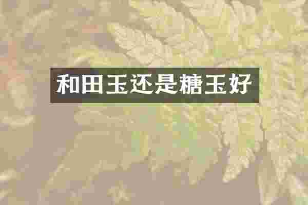 和田玉还是糖玉好
