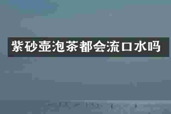 紫砂壶泡茶都会流口水吗