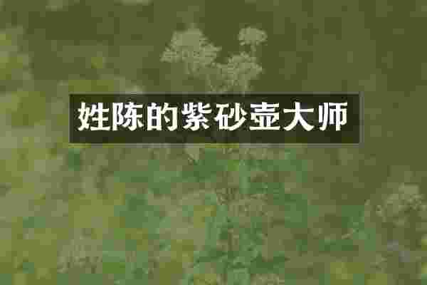 姓陈的紫砂壶大师