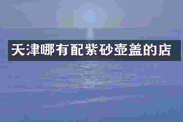 天津哪有配紫砂壶盖的店