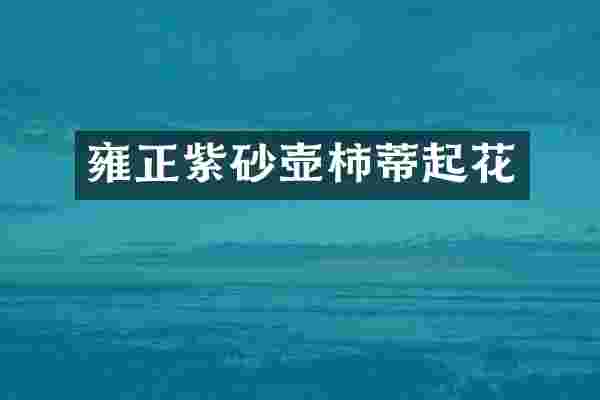 雍正紫砂壶柿蒂起花