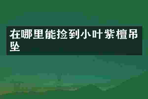 在哪里能捡到小叶紫檀吊坠