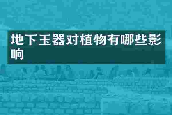 地下玉器对植物有哪些影响