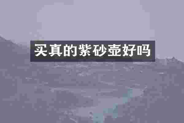 买真的紫砂壶好吗
