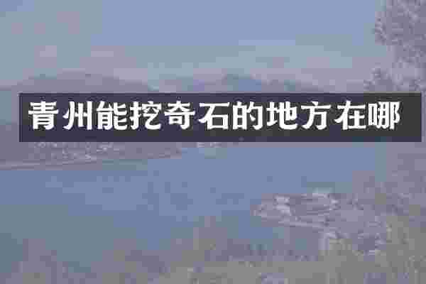 青州能挖奇石的地方在哪