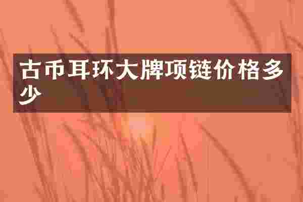 古币耳环大牌项链价格多少