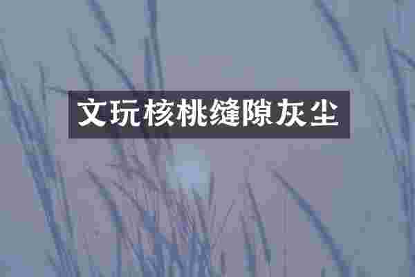 文玩核桃缝隙灰尘