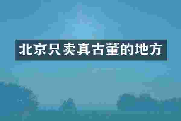 北京只卖真古董的地方