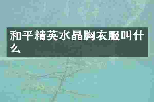 和平精英水晶胸衣服叫什么