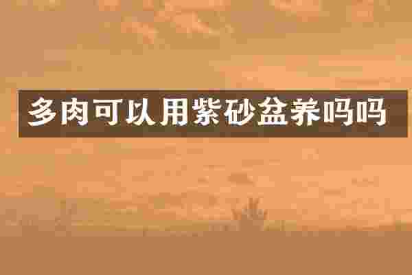 多肉可以用紫砂盆养吗吗