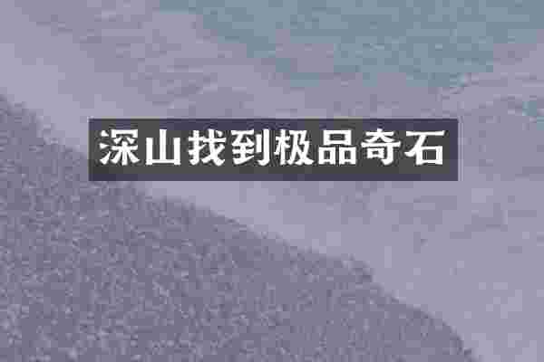 深山找到极品奇石