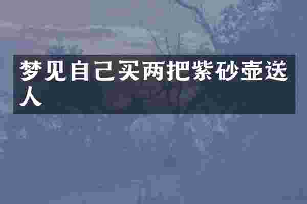 梦见自己买两把紫砂壶送人
