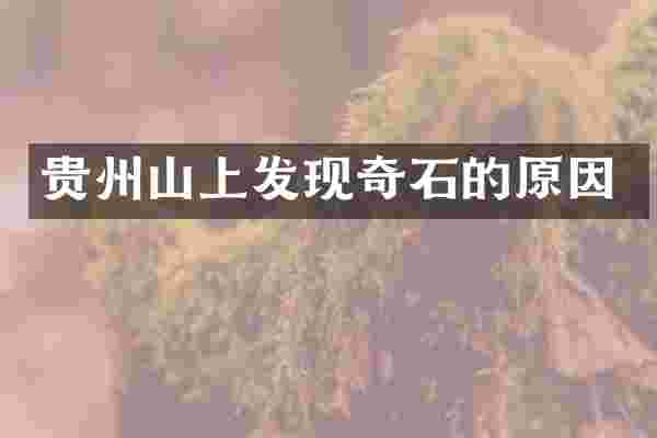 贵州山上发现奇石的原因