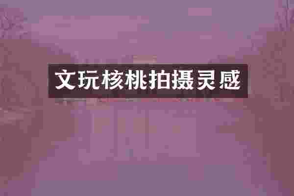 文玩核桃拍摄灵感