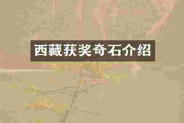 西藏获奖奇石介绍