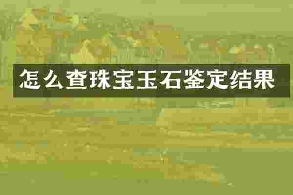 怎么查珠宝玉石鉴定结果
