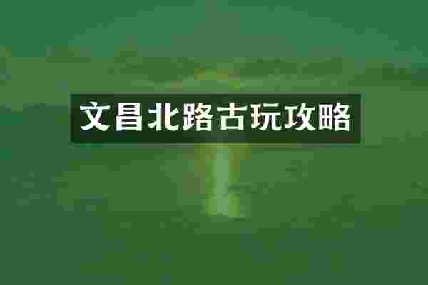 文昌北路古玩攻略