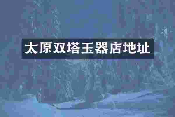 太原双塔玉器店地址